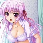 フェビアンテナ